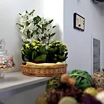 Le Magnolie Pompeï